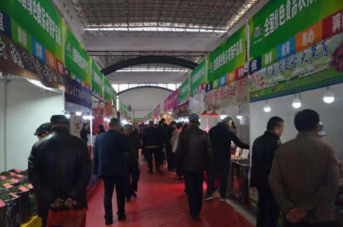忆2019年上半年的部分展会,展会盛况 恍如昨天